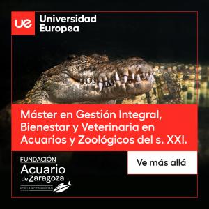 MASTER EN GESTIÓN DE ACUARIOS Y ZOOS CON LA UNIVERSIDAD EUROPEA DE MADRID