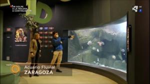 EL RÍO EBRO EN EL ACUARIO DE ZARAGOZA