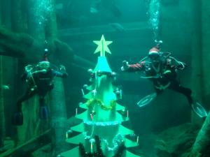 ENCENDIDO DE LAS LUCES DEL ÁRBOL SUBACUÁTICO DEL ACUARIO DE ZARAGOZA