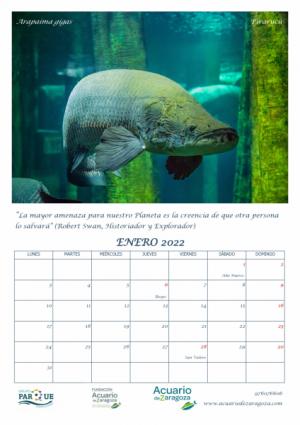 CALENDARIO 2022 DEL ACUARIO DE ZARAGOZA