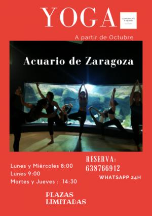 PRACTICA YOGA EN EL ACUARIO DE ZARAGOZA