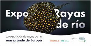 EXPOSICIÓN RAYAS DE RÍO ACUARIO DE ZARAGOZA