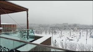 LLEGADA DE LA BORRASCA FILOMENA AL ACUARIO DE ZARAGOZA