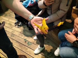 TALLERES DE EDUCACION AMBIENTAL MES DE MAYO FUNDACIÓN ACUARIO DE ZARAGOZA POR LA BIODIVERSIDAD