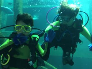 TRATAMIENTO DEL AGUA, BUCEO Y EDUCACIÓN AMBIENTAL EN EL ACUARIO DE ZARAGOZA