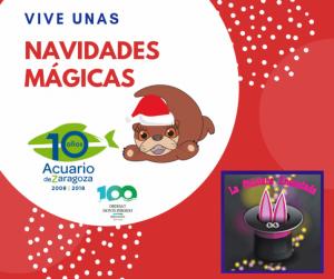 VIVE UNA NAVIDAD MÁGICA EN EL ACUARIO DE ZARAGOZA