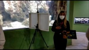 CLASES DE PINTURA EN EL ACUARIO DE ZARAGOZA