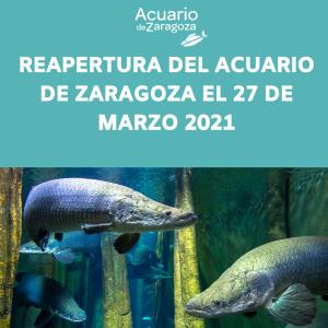 REAPERTURA DEL ACUARIO DE ZARAGOZA 27 DE MARZO DEL 2021