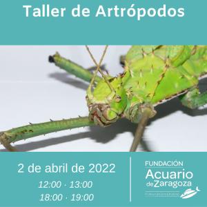 VUELVEN LOS TALLERES DE EDUCACIÓN AMBIENTAL AL ACUARIO DE ZARAGOZA: ABRIL 2022