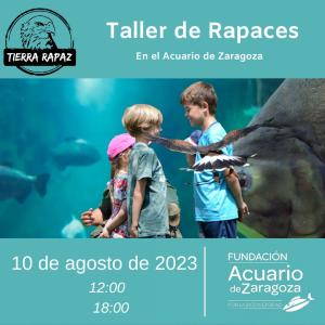 TALLER DE RAPACES EN COLABORACIÓN CON TIERRA RAPAZ