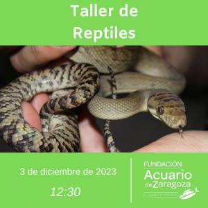 TALLERES EDUCACIÓN AMBIENTAL MES DE DICIEMBRE 2023