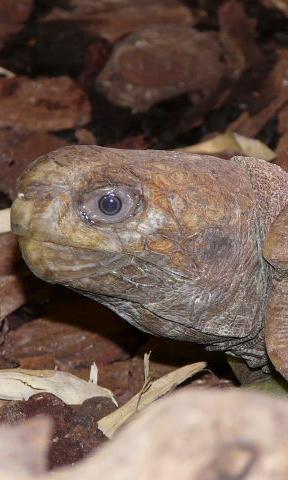 ÚLTIMAS NOVEDADES EDUCATIVAS EN EL ACUARIO