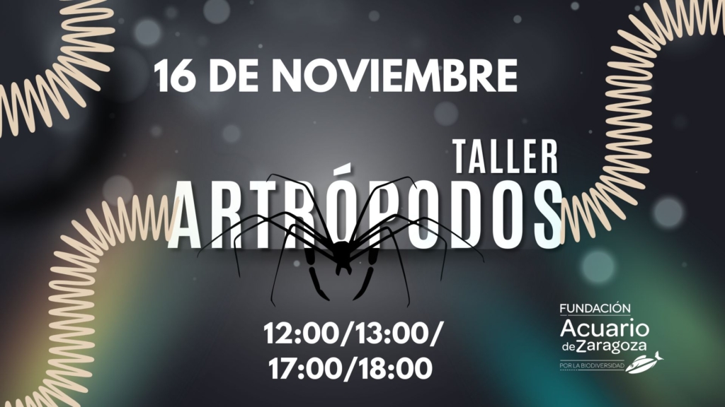 Taller artrópodos 16 de noviembre