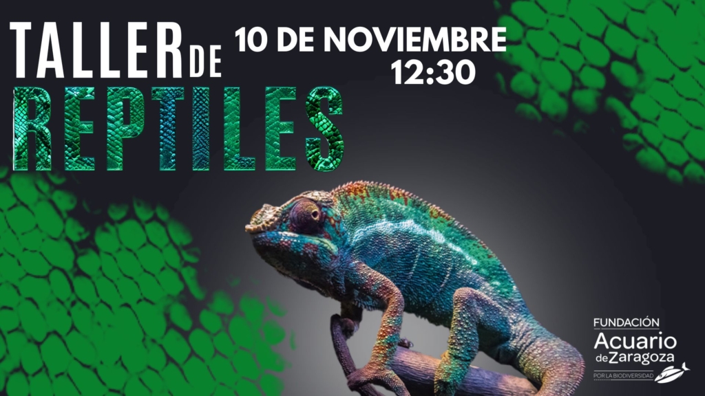 Taller de reptiles 10 de noviembre