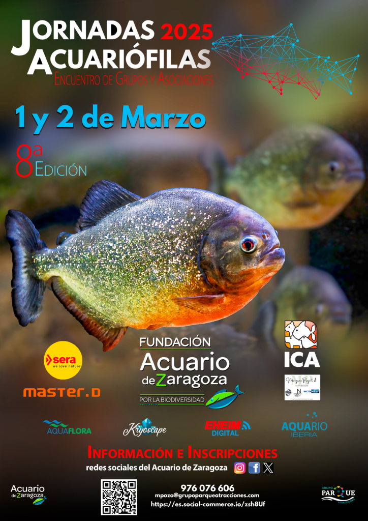 JAEGA Nuevo patrocinio AQUARIO IBERIA