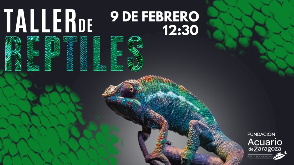 TALLER REPTILES 9 FEBRERO FAZB